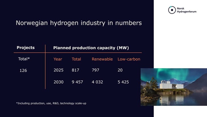 Norwegian hydrogen industry stats: projects, renewable/low-carbon capacity for 2025 and 2030, facility and fjord. Norwegian hydrogen industry stats: projects, renewable/low-carbon capacity for 2025 and 2030, facility and fjord.